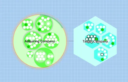 Using Shapes on Your Org Chart for Transformation