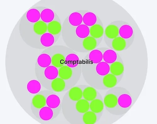 Comptabilis organization map