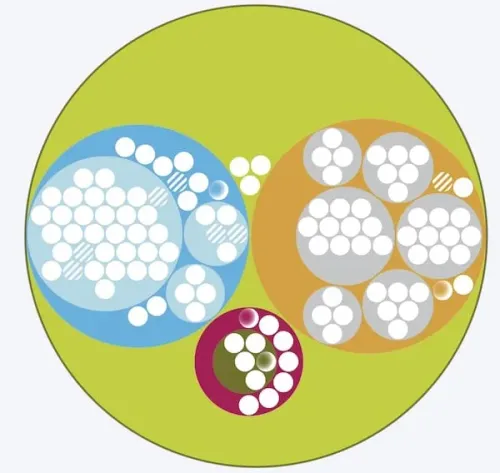 CEAS - Centre Ecologique Albert Schweitzer organization map