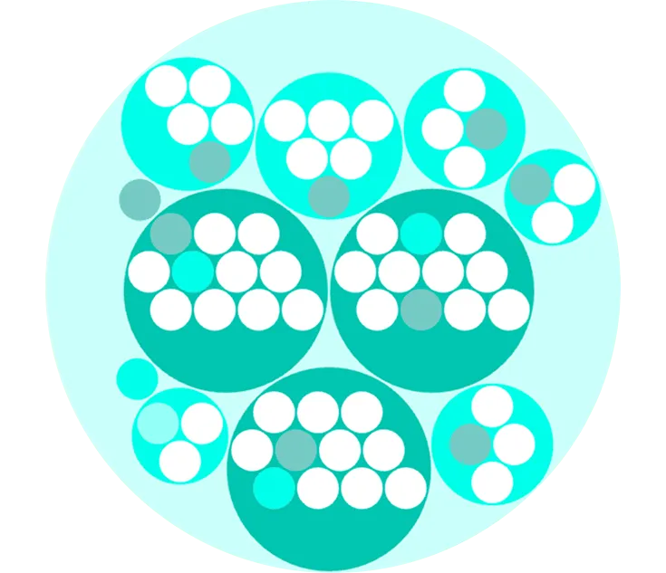 Illustration of a Peerdom map for an organization that has transformed to work in agile roles